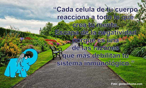 Una Enseñanza sobre La Negatividad, en La Frase del Día del Centro de lavado de coches Elefante Azul de Avilés